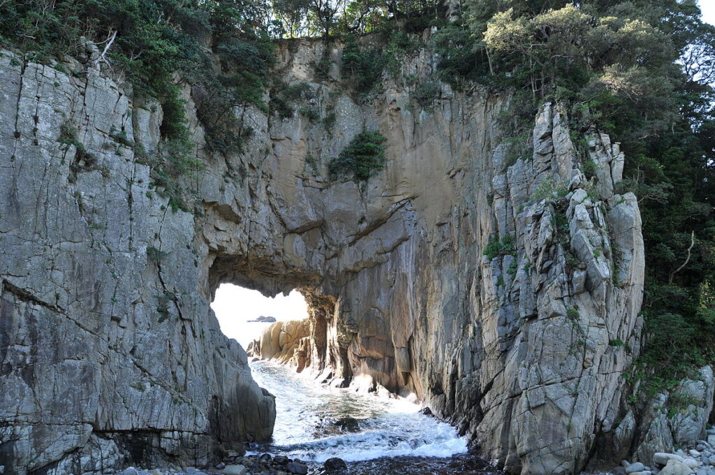 高知