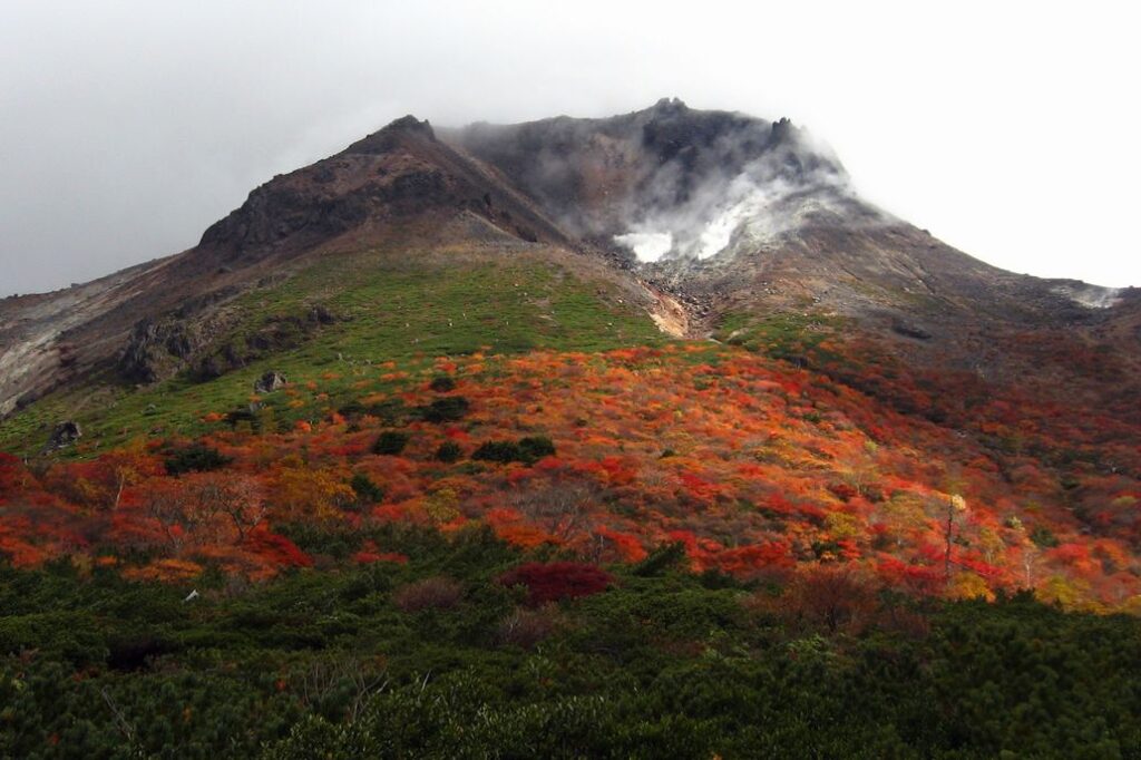 栃木