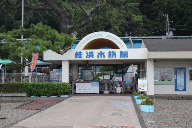 高知